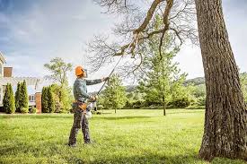 How Our Tree Care Process Works  in  Marlboro, NY